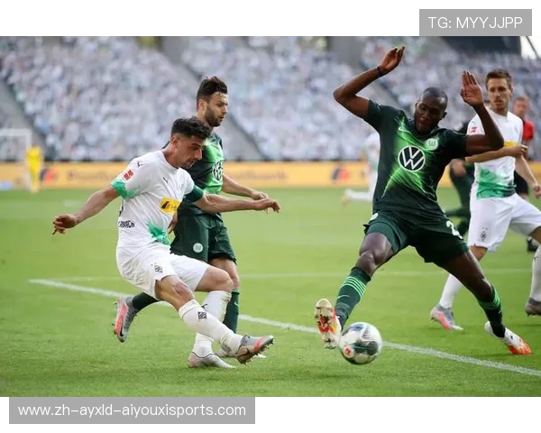 德甲各支球队主场观众人数排行（含容量）