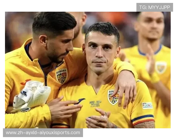 效力中超的意甲外援球队:效力于中超的意甲外援球员与球队分析 (2) 效力中超的意甲外援球队:效力于中超的意甲外援球员与球队分析 (2)